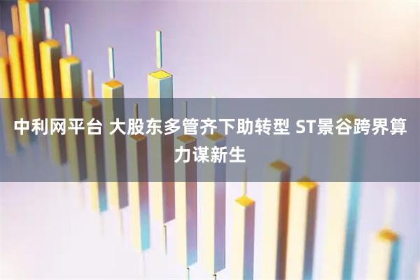 中利网平台 大股东多管齐下助转型 ST景谷跨界算力谋新生