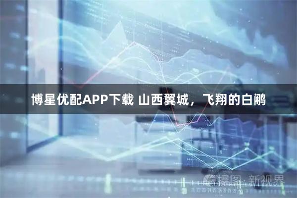 博星优配APP下载 山西翼城，飞翔的白鹇